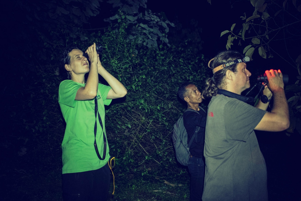 Monitoring of nocturnal wild animals