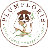 logo plumploris